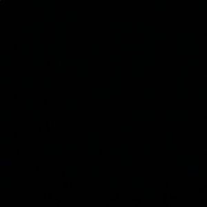 Meet your Posher, Leila